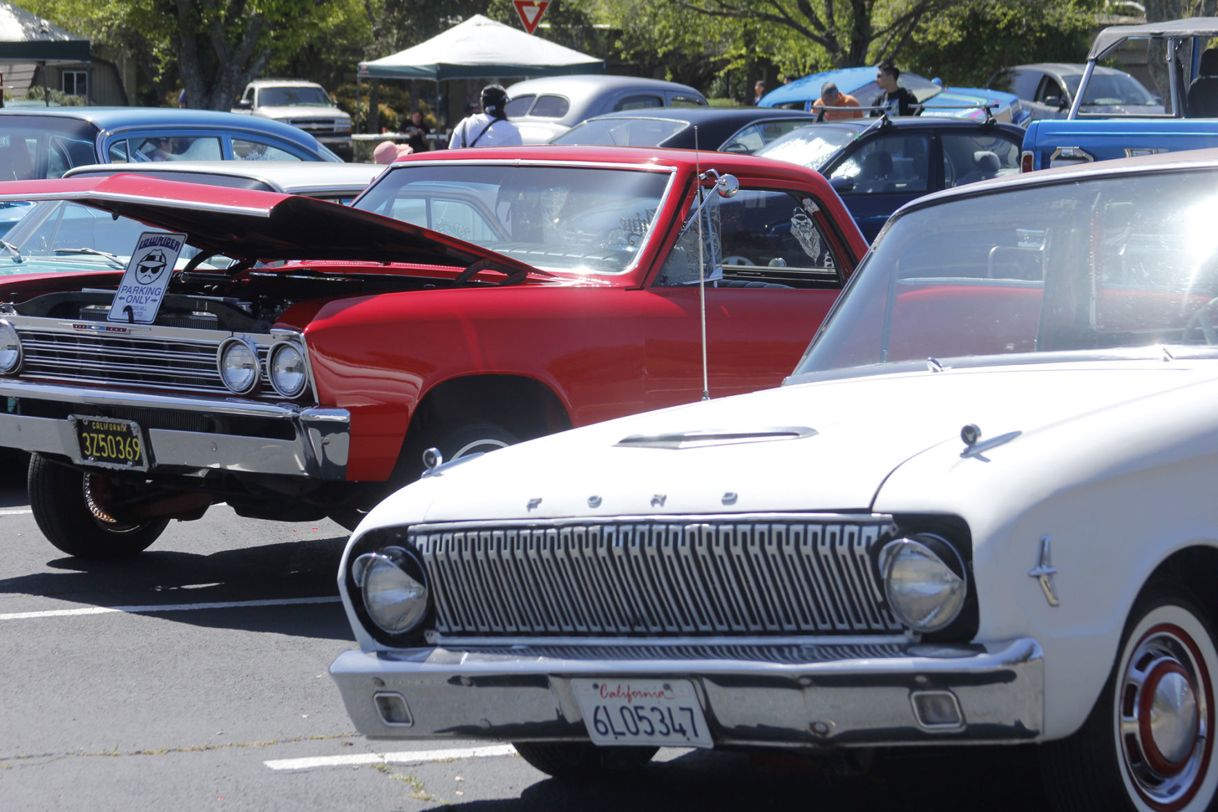 Napa Valley College 75th Anniversary Festival